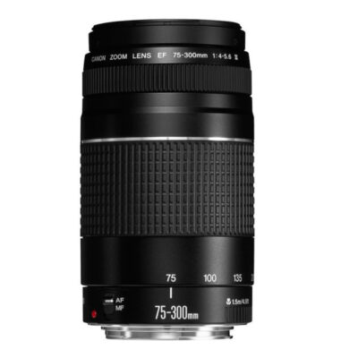 Canon EF 75-300mm f/4-5.6 III Telephoto Zoom Lens